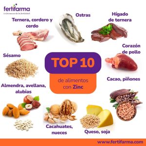 alimentos que contienen zinc