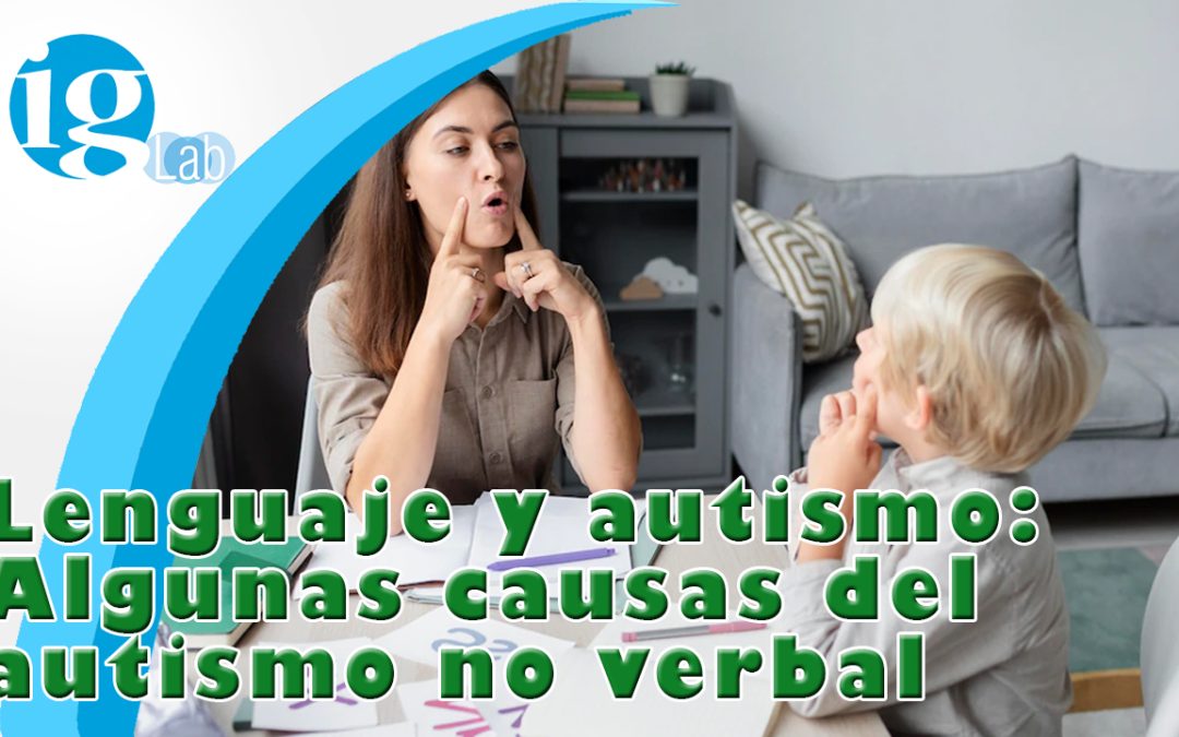 Lenguaje y Autismo: Algunas causas del autismo no verbal