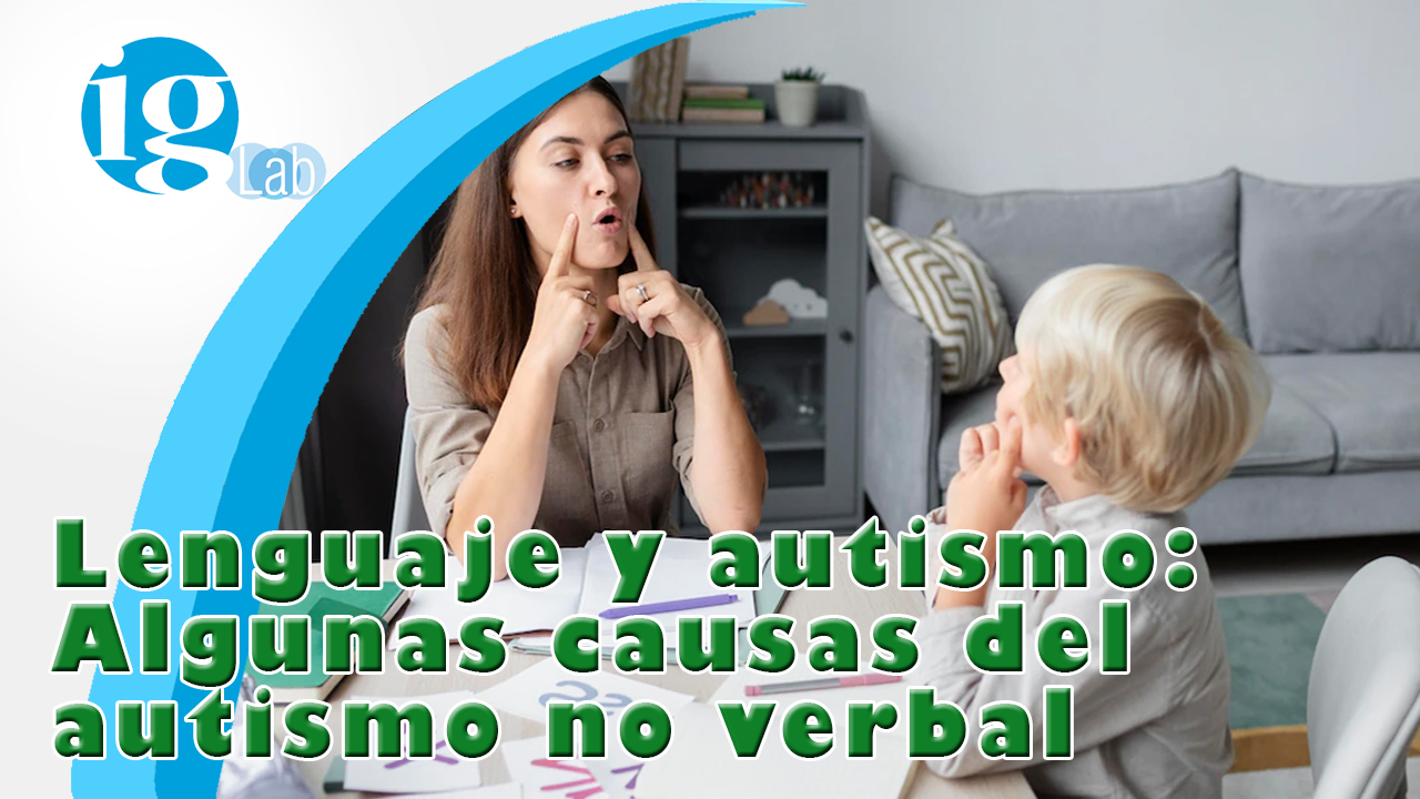 Lenguaje y Autismo Algunas causas del