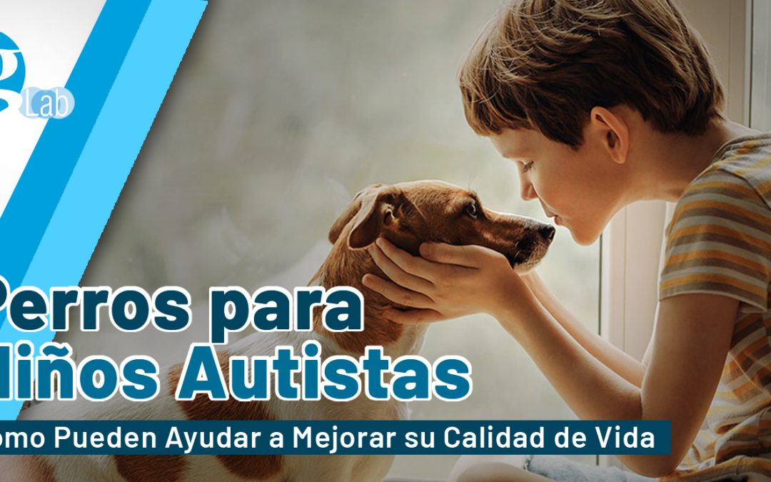 Perros para Niños Autistas: Cómo Pueden Ayudar a Mejorar su Calidad de Vida